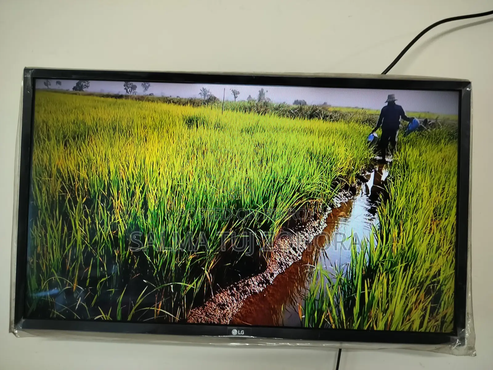 LG TV