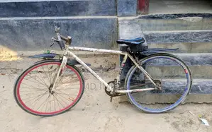 A Good Bicycle