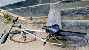 A Good Bicycle