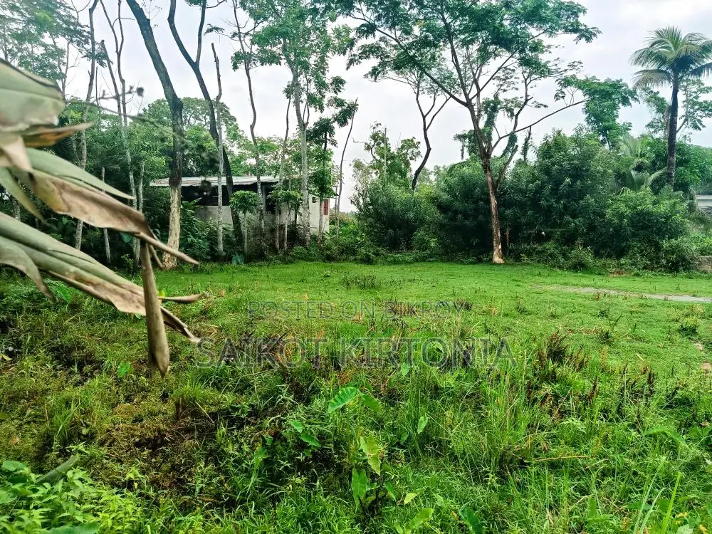 5 Decimal Land for Sale