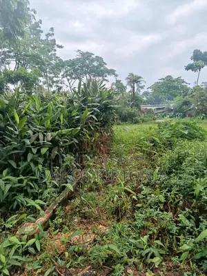 5 Decimal Land for Sale