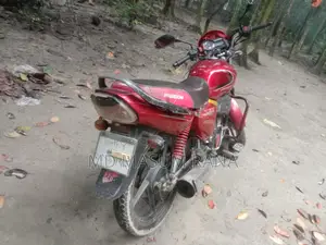 Freedom Runner Motorcycle 2019