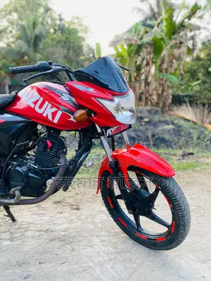 Suzuki Hayate . 2017