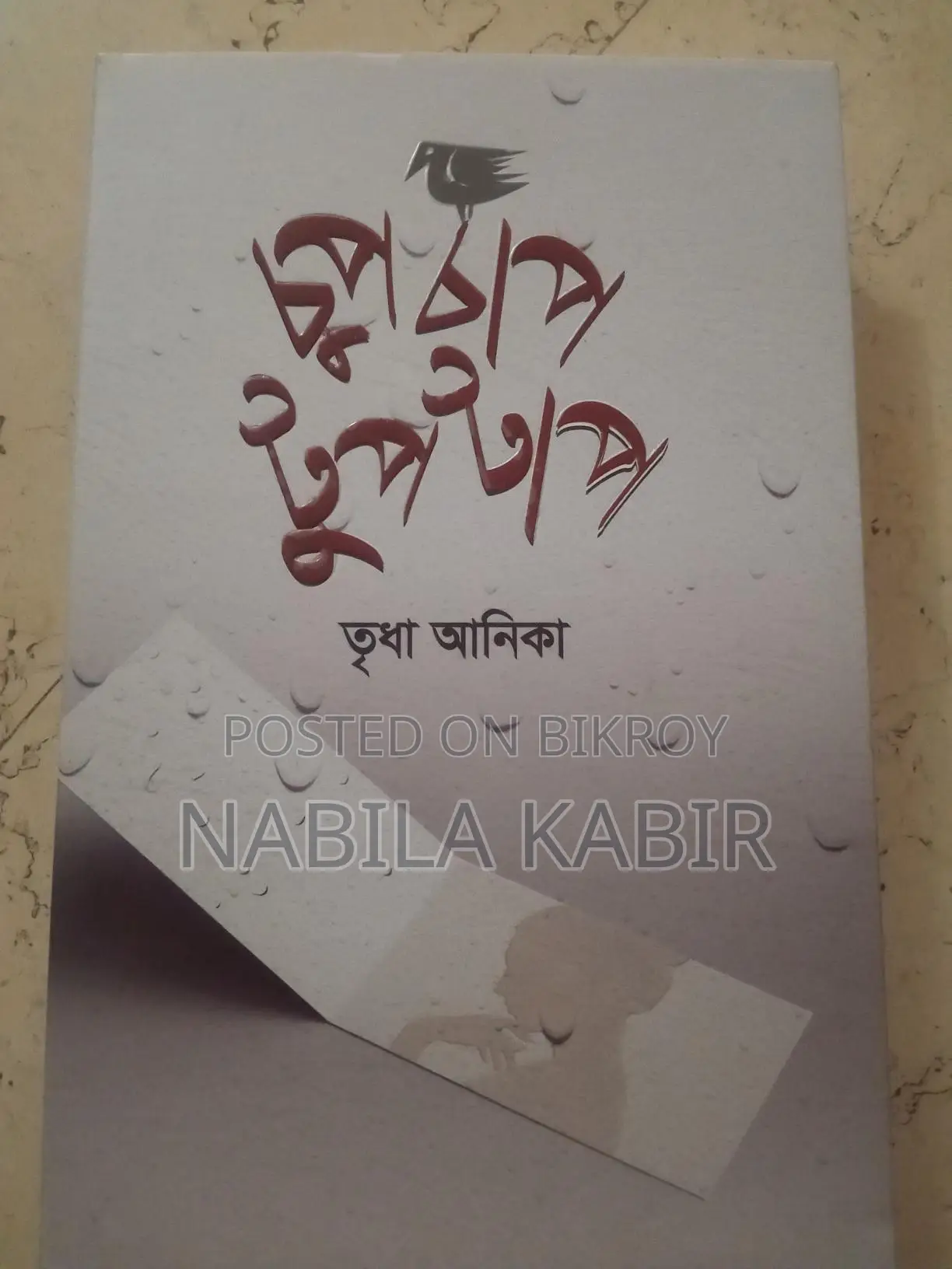 Tridha Anika's book!!