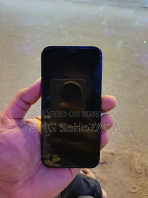Apple iPhone 12 Mini (Used)