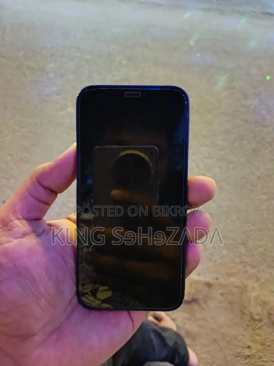 Apple iPhone 12 Mini (Used)