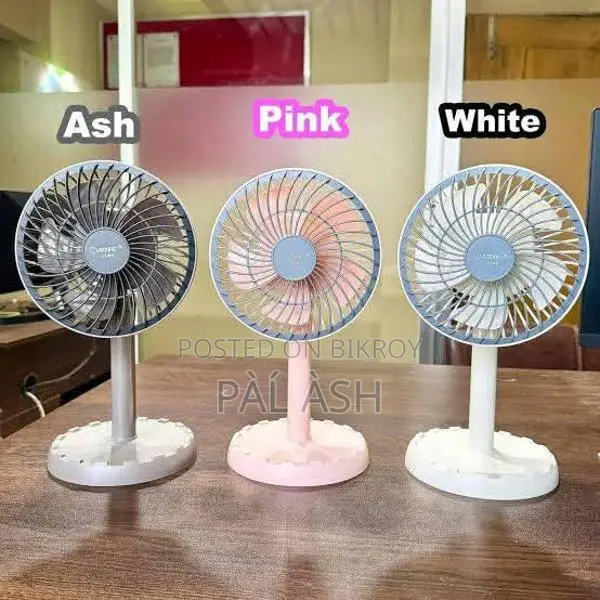 Rechargeable Fan