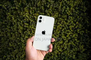 Apple iPhone 12 (Used)