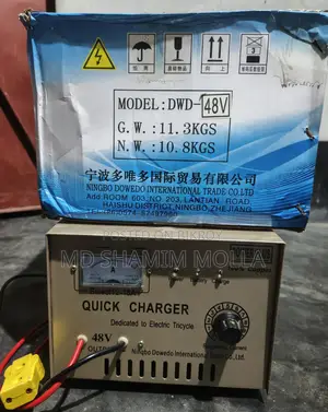 48 volt acid battery charger