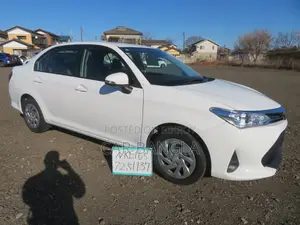 Toyota Axio EX 2021