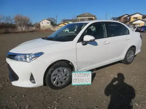 Toyota Axio EX 2021