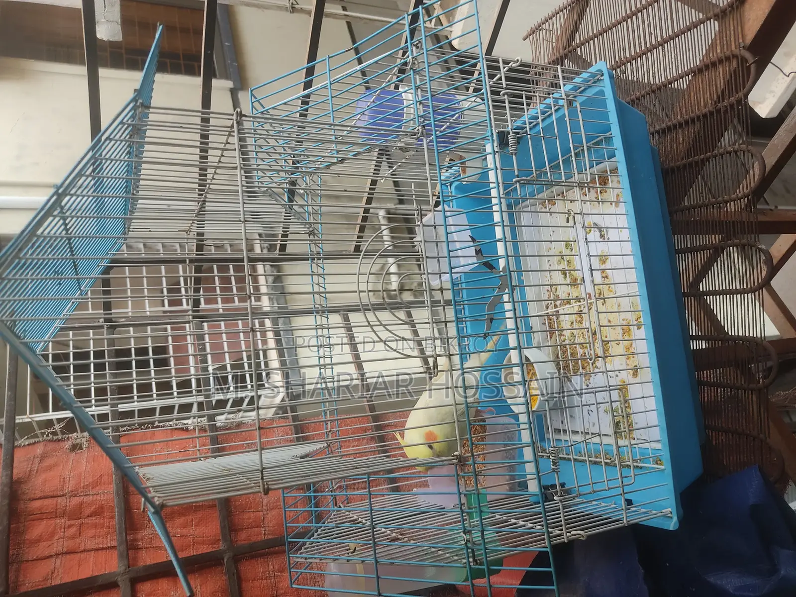 চায়না পাখির খাঁচা