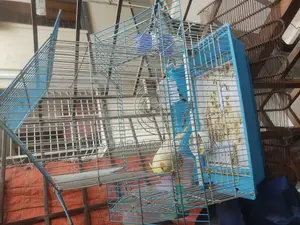 চায়না পাখির খাঁচা