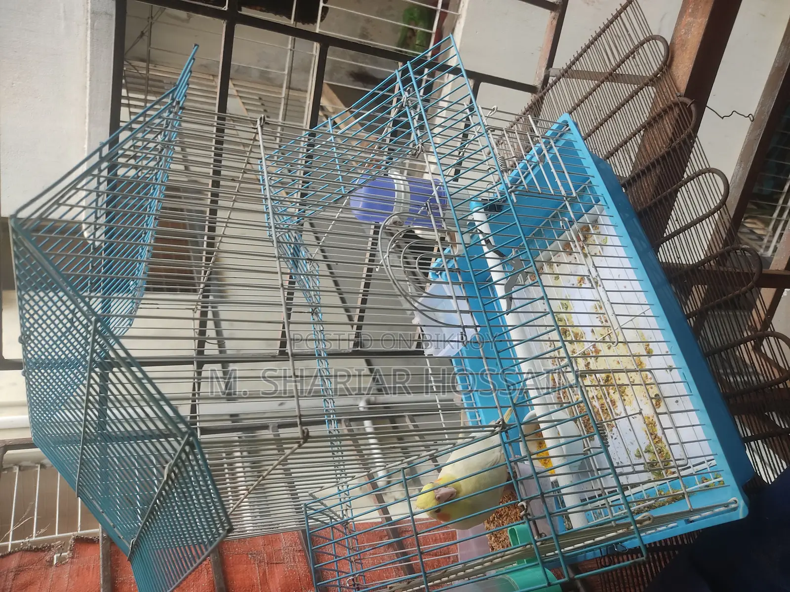 চায়না পাখির খাঁচা