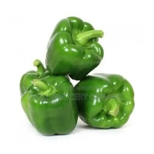 Fresh Capsicum – Best Quality