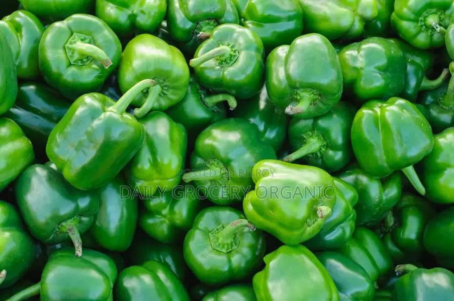 Fresh Capsicum – Best Quality