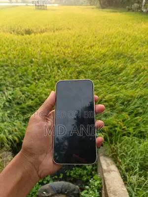 Apple iPhone 13 Singapore Variation (Used)