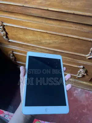 iPad Mini 2012 Model