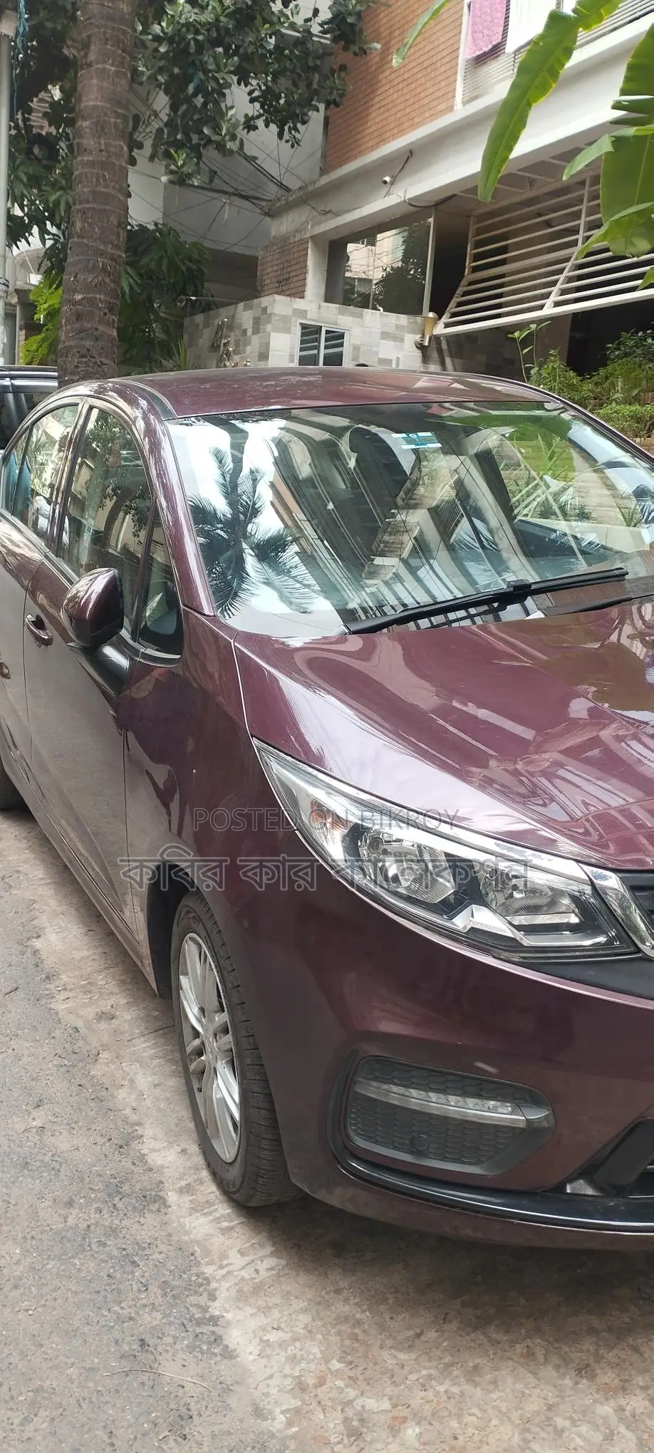 Proton Persona Red Wine 2020