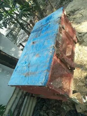 হাতে বানানো একটি মোরগের কাচা