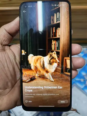 OPPO F21 Pro (Used)