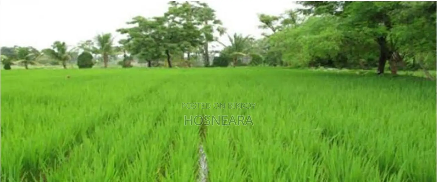Agricultural Land for Sale