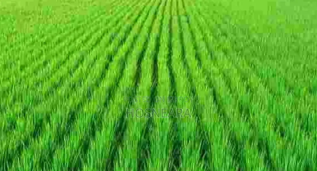 Agricultural Land for Sale