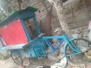 ভালো মানের চটপটি গাড়ি বিক্রি হবে