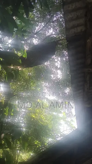 প্রাকৃতিক মধু