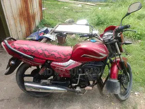 Runner Royal ` 2022
