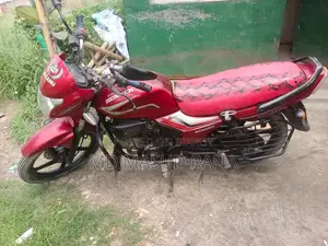 Runner Royal ` 2022