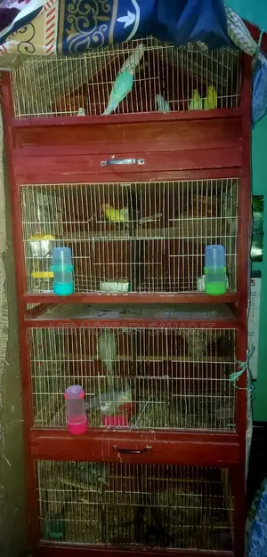 সব বিক্রি করে দিব বাচ্চা