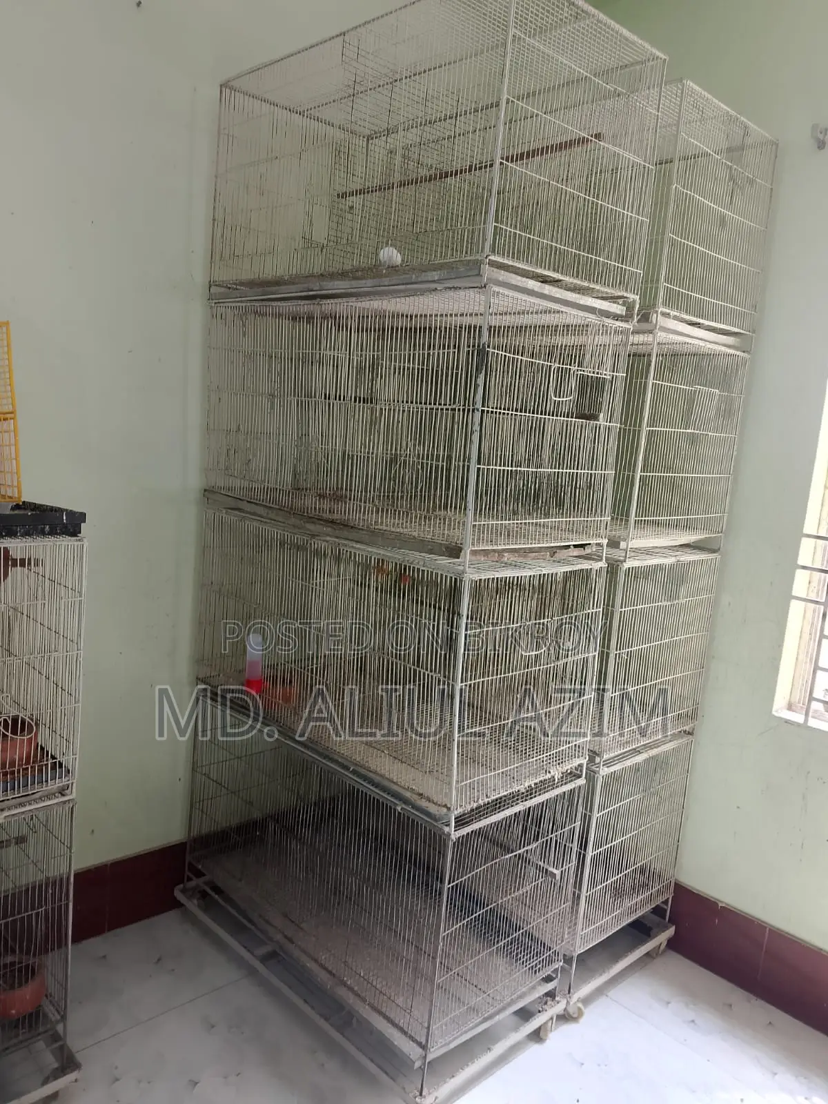 লাভ বার্ড ও খাচা