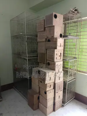 লাভ বার্ড ও খাচা