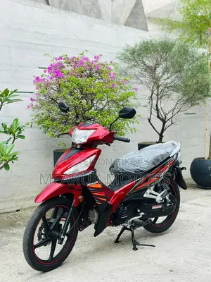 Runner Kite + 110 2026 Red