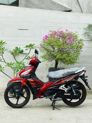 Runner Kite + 110 2026 Red