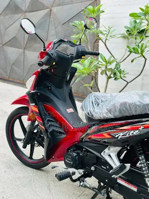 Runner Kite + 110 2026 Red