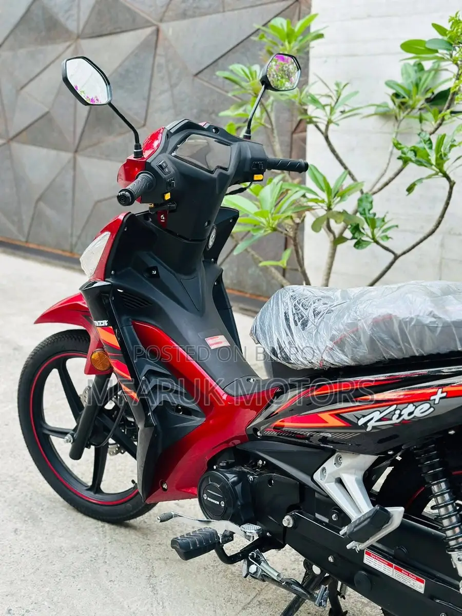 Runner Kite + 110 2026 Red