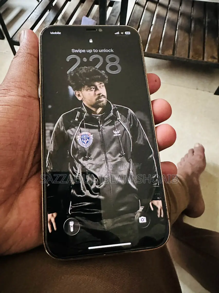 Apple iPhone 12 Pro Max (Used)