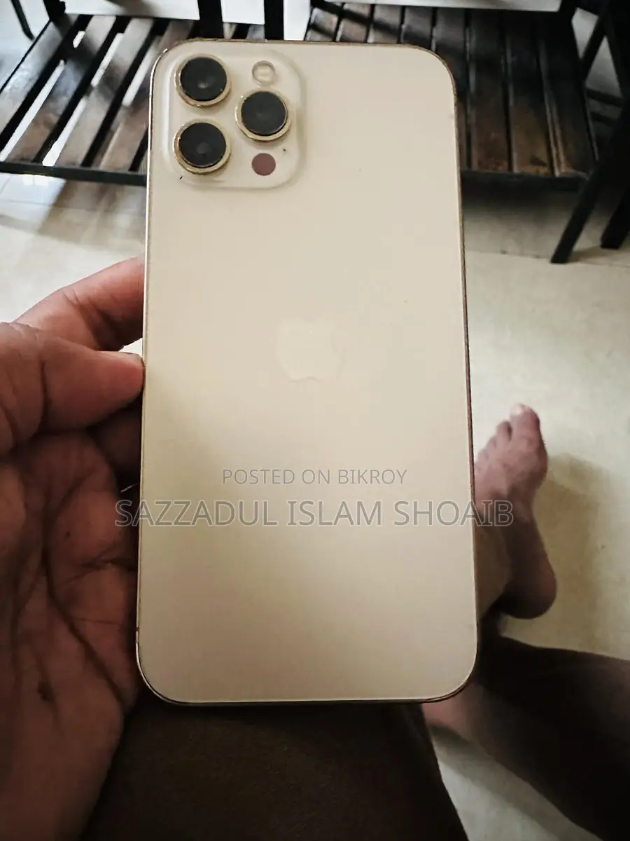Apple iPhone 12 Pro Max (Used)