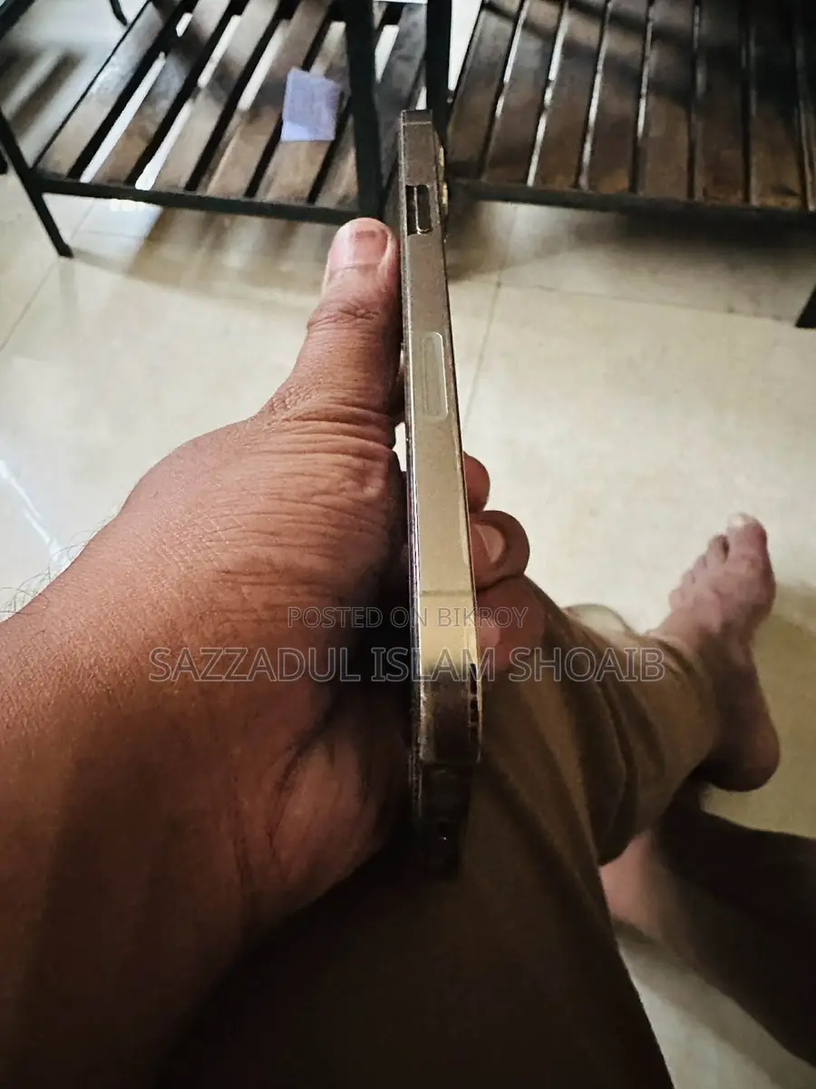 Apple iPhone 12 Pro Max (Used)