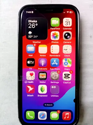 Apple iPhone 12 (Used)