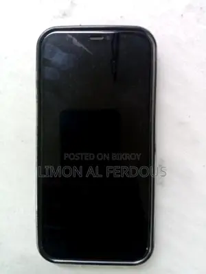 Apple iPhone 12 (Used)
