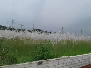 13 Katha Land For Sale @ Uttara bawniya