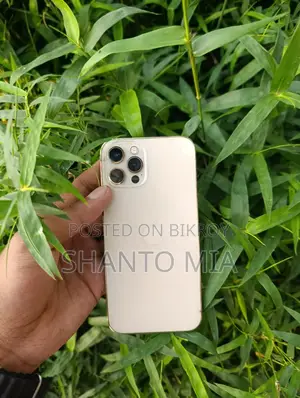 Apple iPhone 12 Pro (Used)