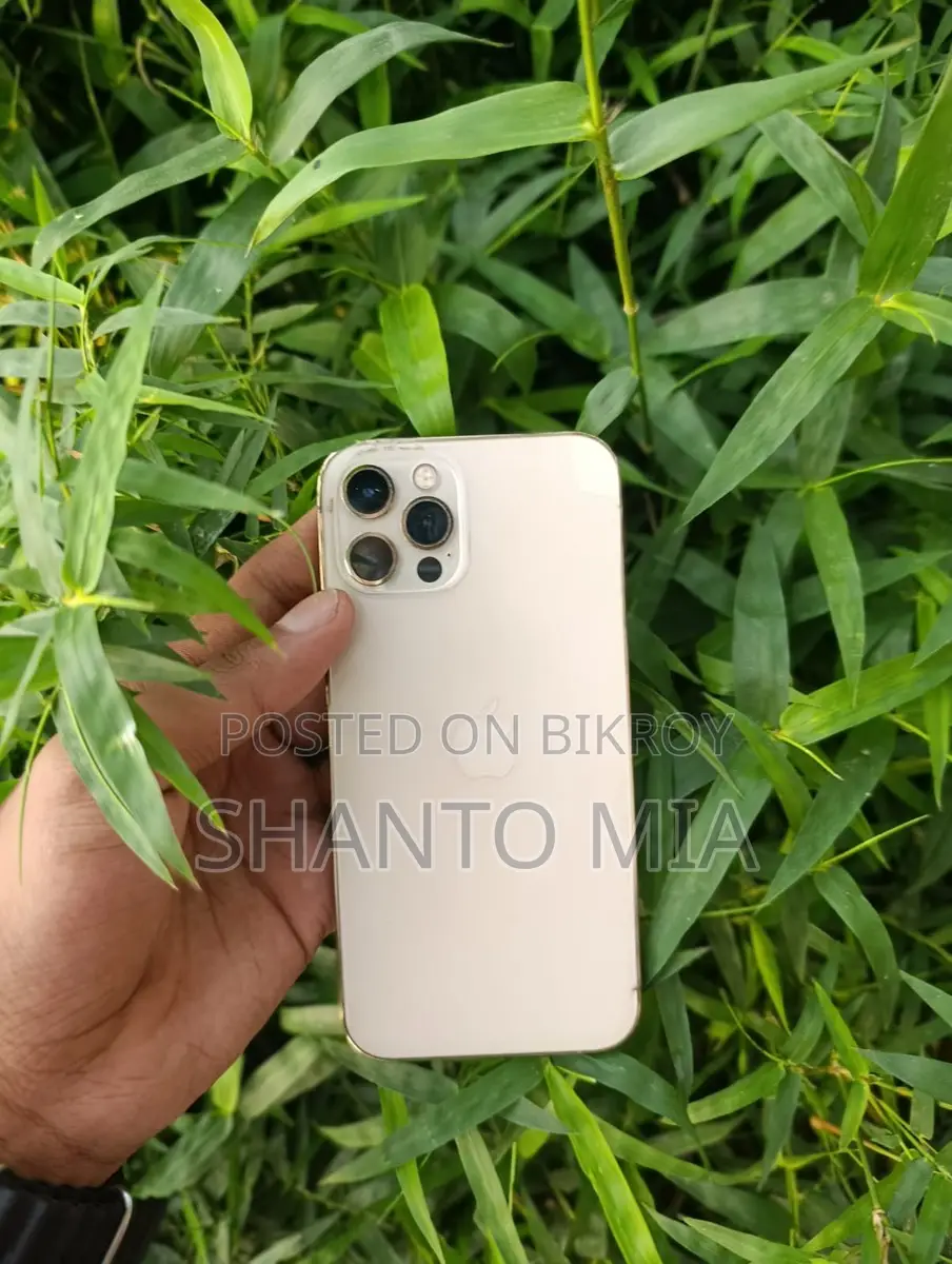 Apple iPhone 12 Pro (Used)