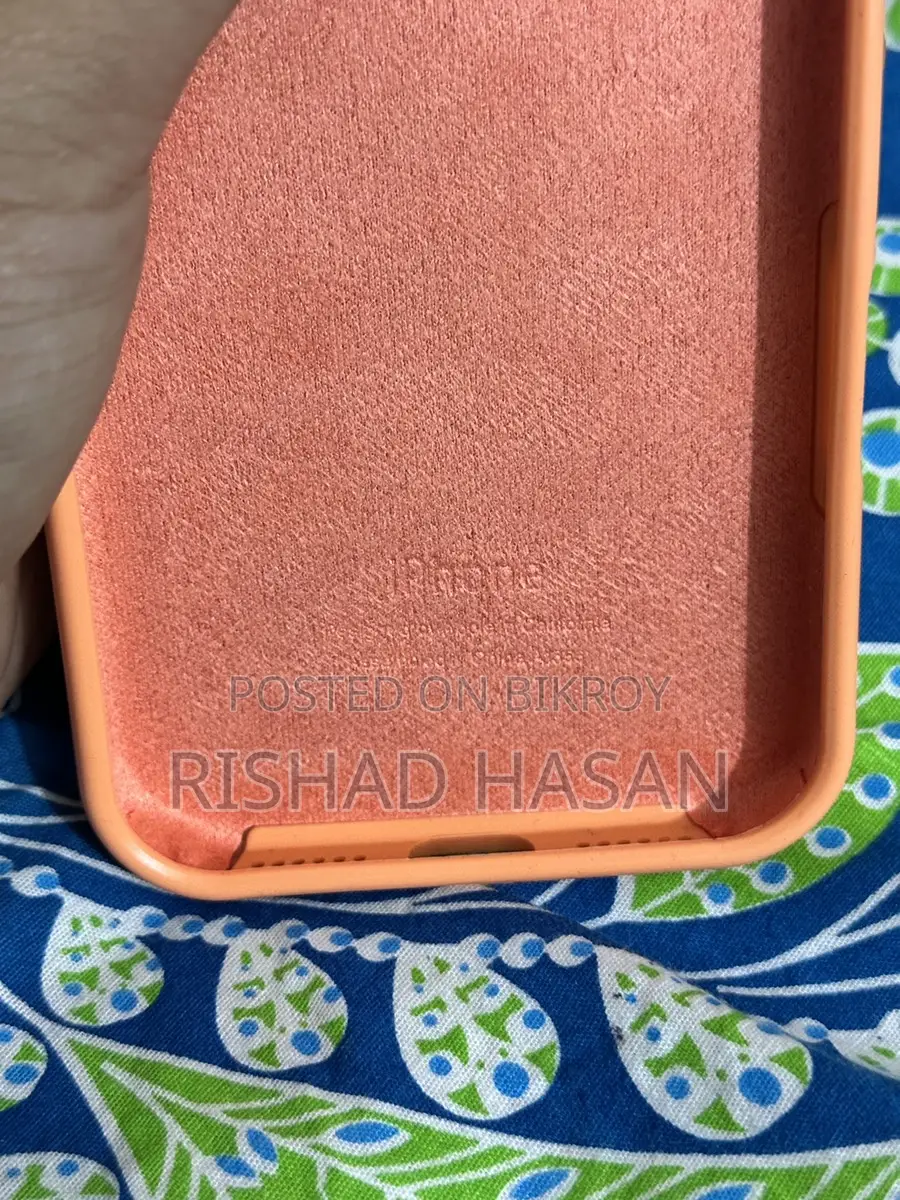 17 Pro Max Cover