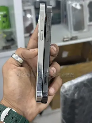 Apple iPhone 12 Pro 256GB (Used)