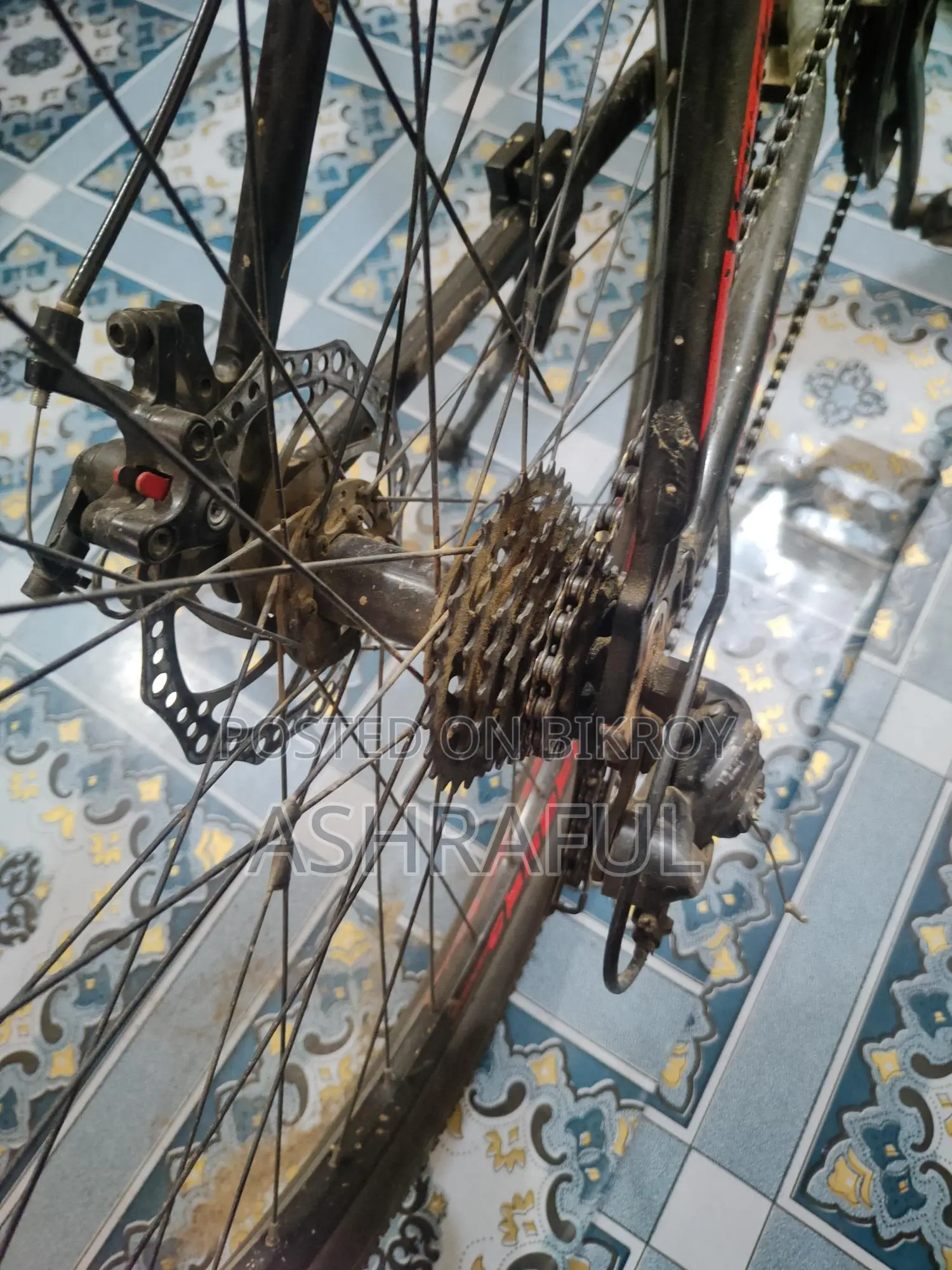 Veloce Slayer 1.0