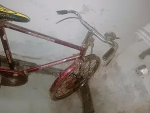 Bicycle for Sale